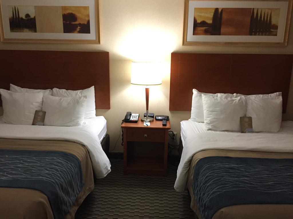 Comfort Inn Airport West Mississauga Dış mekan fotoğraf
