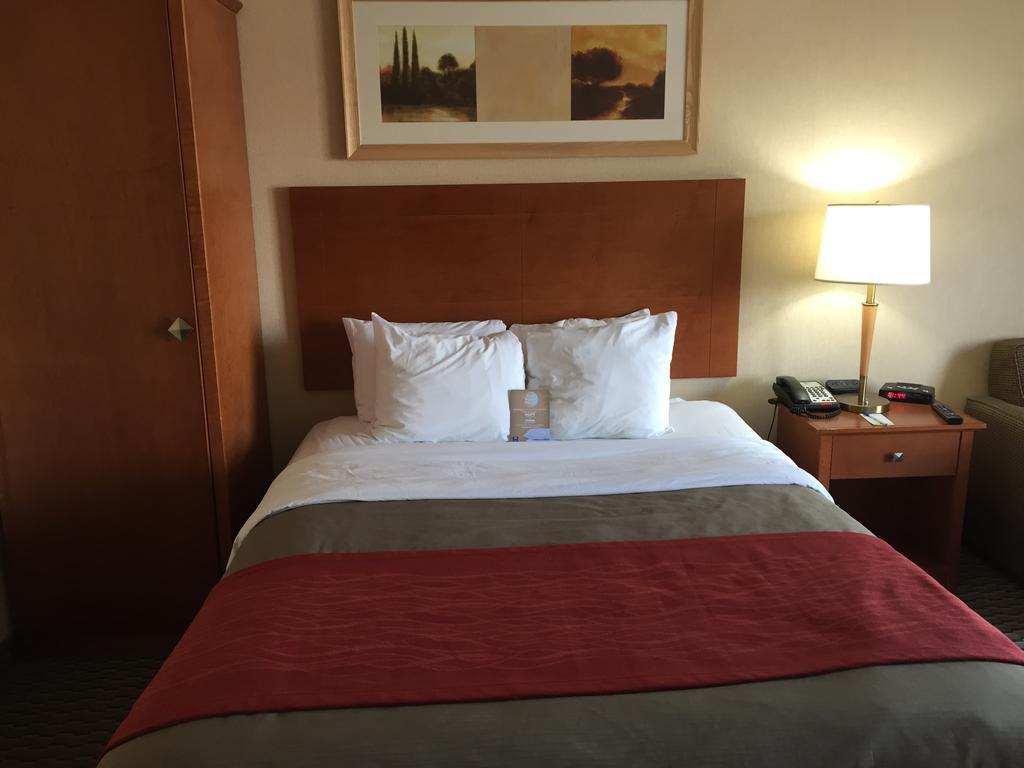 Comfort Inn Airport West Mississauga Dış mekan fotoğraf